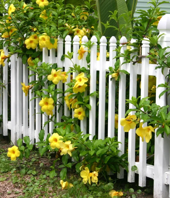 Fence Repair & Replacement slider